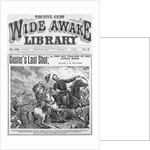 Cover of The Wide Awake Library by Anonymous