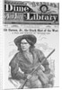 Cover of Beadle's Dime New York Library by Anonymous