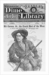Cover of Beadle's Dime New York Library by Anonymous