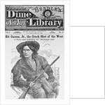 Cover of Beadle's Dime New York Library by Anonymous