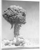 Mushroom Cloud by Anonymous