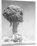 Mushroom Cloud by Anonymous