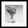 Mushroom Cloud by Anonymous