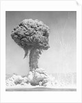 Mushroom Cloud by Anonymous