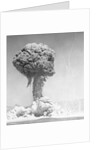 Mushroom Cloud by Anonymous