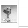 Mushroom Cloud by Anonymous