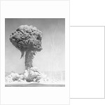 Mushroom Cloud by Anonymous
