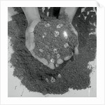 Diamonds Embedded in a Handful of Earth by Anonymous