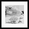 Parcel With Rough Diamonds by Anonymous