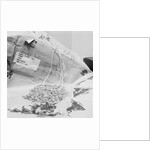 Parcel With Rough Diamonds by Anonymous