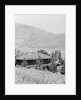 Ernest Hemingway's Home in Idaho by Anonymous