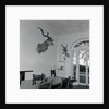 Animal Busts Hanging in Ernest Hemingway's Home by Anonymous