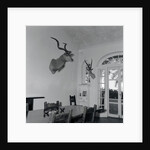 Animal Busts Hanging in Ernest Hemingway's Home by Anonymous