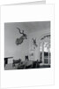 Animal Busts Hanging in Ernest Hemingway's Home by Anonymous