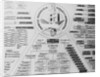 Detailed Chart on Juan Peron Ownerships by Anonymous
