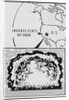 United States Nuclear Weapons Test Map by Anonymous
