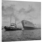 Towing the World Grandeur Ship by Anonymous