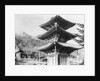 Great Buddha Hall by Anonymous