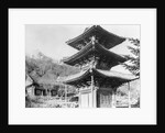 Great Buddha Hall by Anonymous