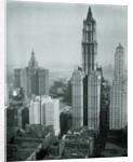 New York Aspiring to the Heavens by Anonymous
