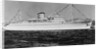 Ocean Liner Bianca C by Anonymous