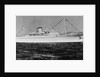 Ocean Liner Bianca C by Anonymous