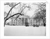Snow Covering the White House Lawn by Anonymous