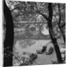 Banks of the Seine During Autumn by Anonymous