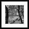Banks of the Seine During Autumn by Anonymous