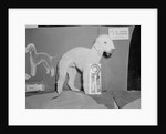 Dog Posing With Its Blue Ribbon by Anonymous