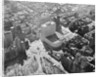 Aerial View of New York Coliseum by Anonymous