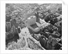 Aerial View of New York Coliseum by Anonymous