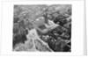 Aerial View of New York Coliseum by Anonymous