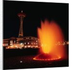 Space Needle and Fountain at Night by Anonymous