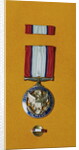 Army Distinguished Service Medal by Anonymous
