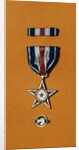Army Silver Star by Anonymous