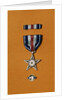 Army Silver Star by Anonymous