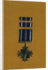 Distinguished Flying Cross by Anonymous
