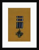 Distinguished Flying Cross by Anonymous