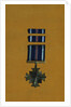Distinguished Flying Cross by Anonymous
