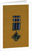 Distinguished Flying Cross by Anonymous