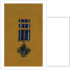 Distinguished Flying Cross by Anonymous