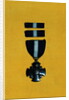 Navy Medal Display by Anonymous