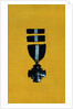 Navy Medal Display by Anonymous
