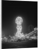 Amusement Park Rides by Anonymous