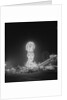 Amusement Park Rides by Anonymous
