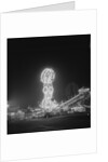 Amusement Park Rides by Anonymous
