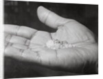 Close up of Hand Holding Diamonds by Anonymous