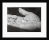 Close up of Hand Holding Diamonds by Anonymous