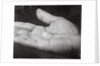 Close up of Hand Holding Diamonds by Anonymous